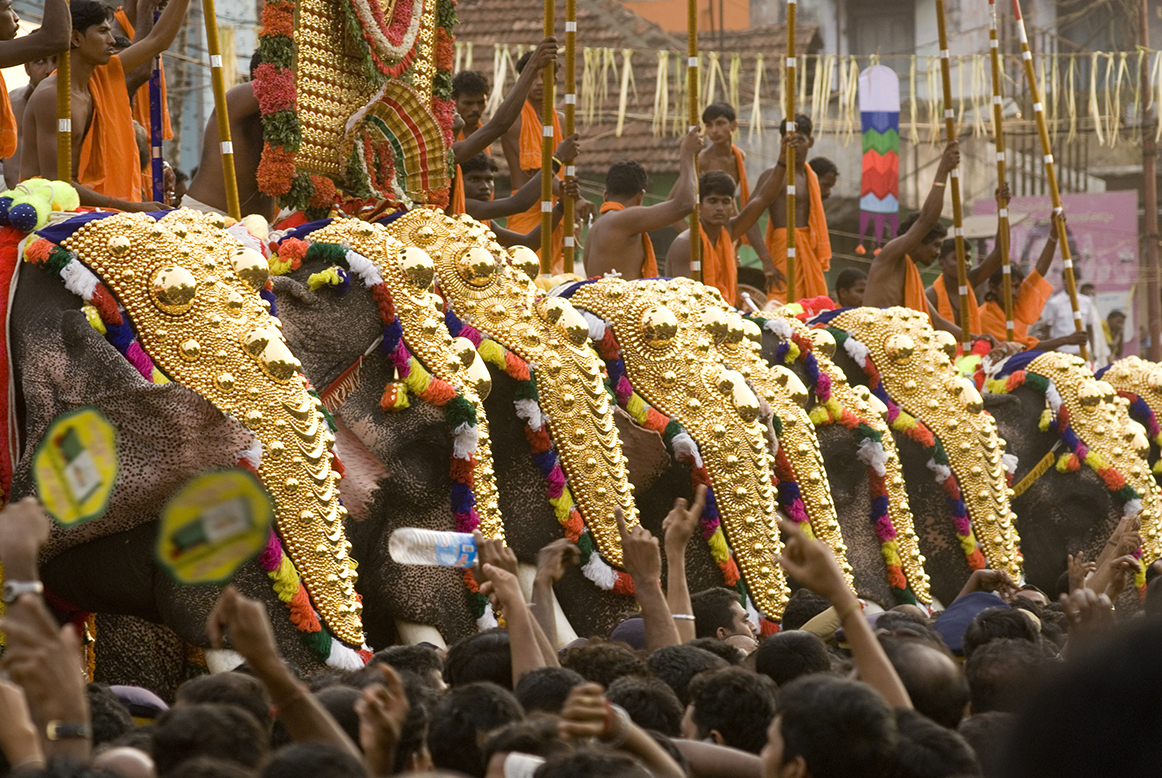 elephant procession