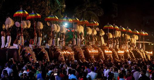 Ernakulam temple festival procession with decorated elephants