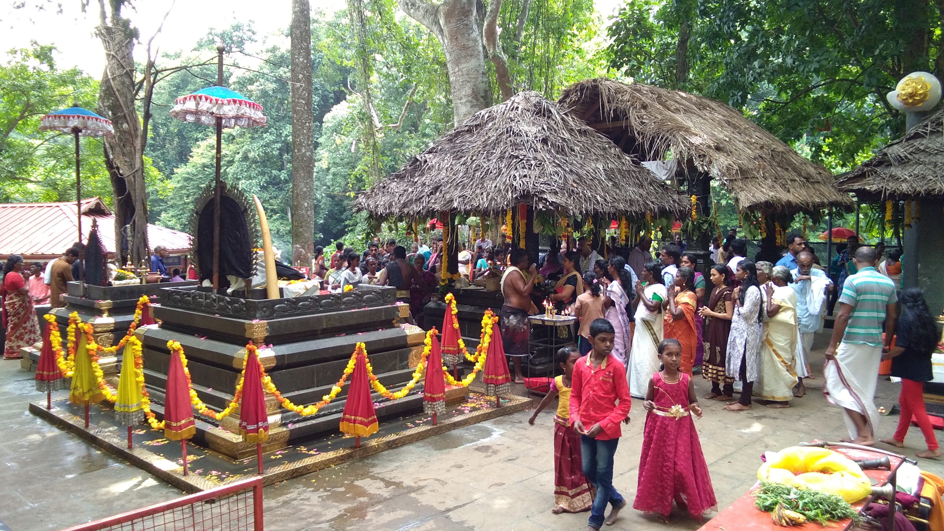 Tali Shiva temple festival chenda melam Kozhikode