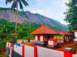 Prathishtadina Mahotsavam Pongala Nercha at Mankuzhikkavu Bhagavathy Temple Idukki Kerala Festival
