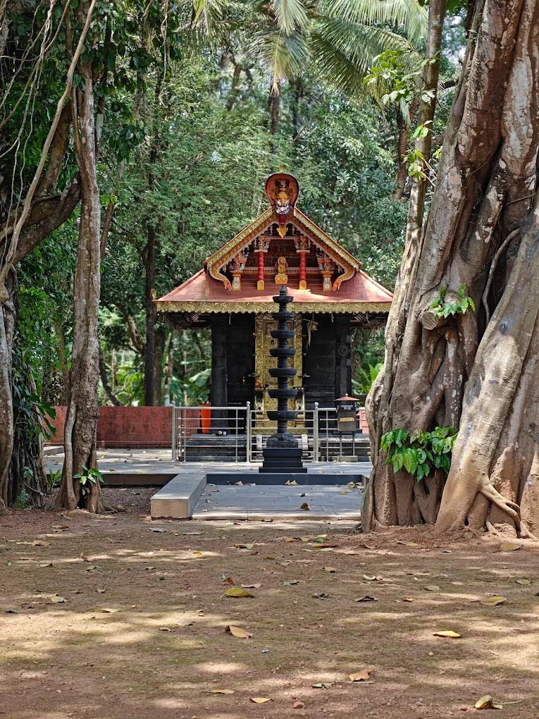 Paithruka Mandapam Samarpanam Srimad Bhagavatha Sapthaha Yajnam Sree Chamundikottam Chirakkal Kannur Temple Festival
